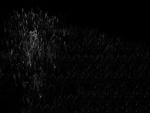 010617-152-6