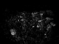 010617-49-6