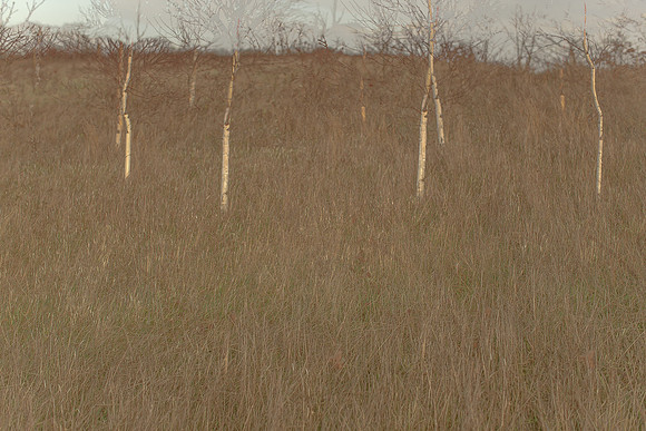 07-01-14-110