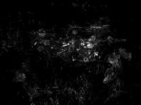 010617-49-8
