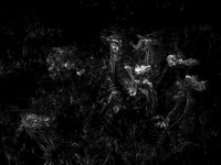 010617-49-1