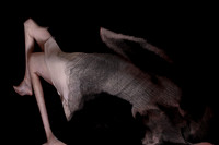 frame127_frame226_231015-102-4-2-2-2