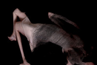 frame109_frame226_231015-102-4-2-2-2
