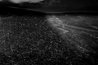 220314 #22