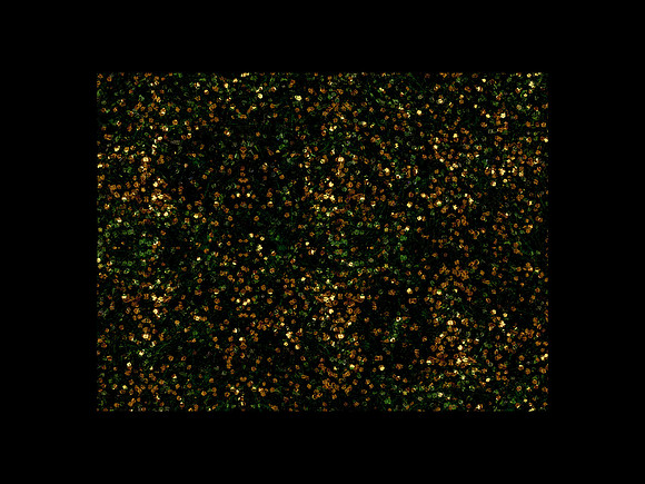 150616-2-4