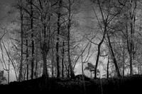 300316-1-2