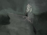 200317-2-5
