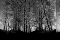 300316-1-4