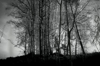 300316-1-12
