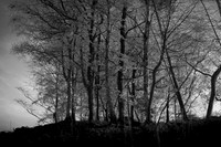 300316-1-6