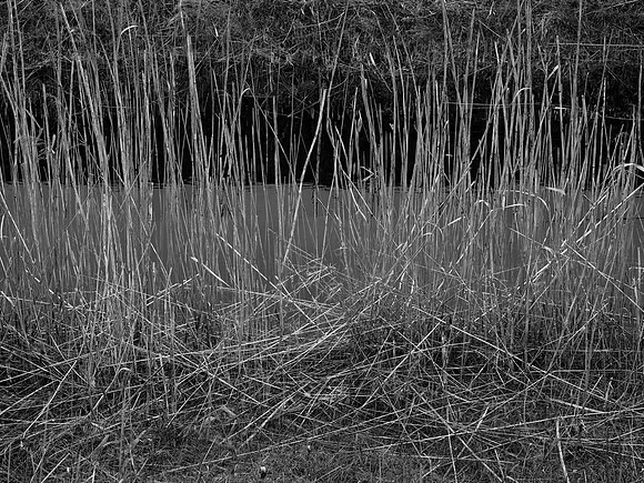 200316-1-12
