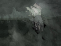 200317-2-14