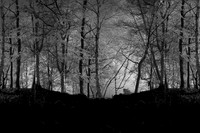 300316-1-1