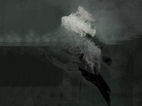 200317-2-12