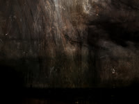221116-4-6