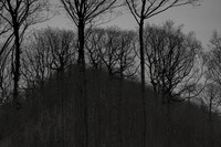 041214-53-11