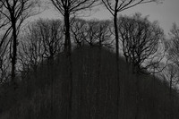 041214-53-8