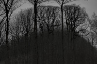 041214-53-9