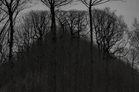 041214-53-4