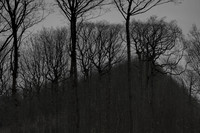 041214-53-15