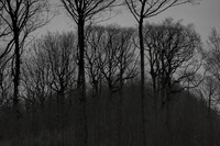 041214-53-3