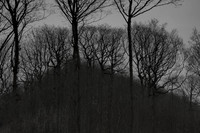 041214-53-6
