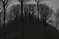041214-53-17
