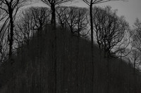 041214-53-10