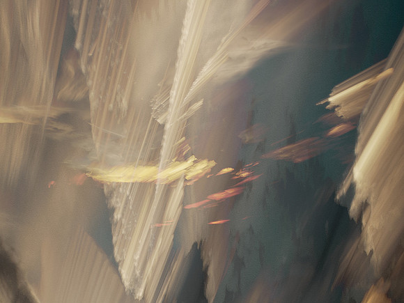 010816-4-26