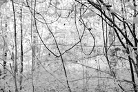 150915-131