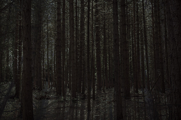 2013-07-08-134