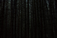 2013-07-08-107