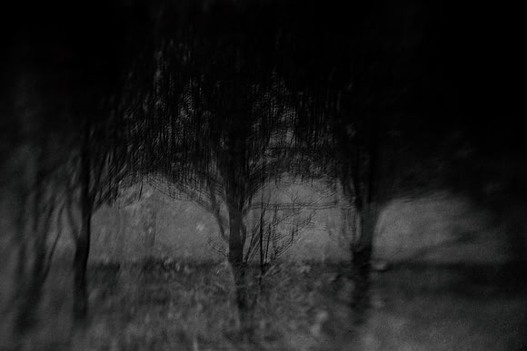 2011-11-15-226-6