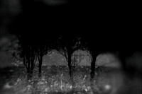 2011-11-15-226-2-2