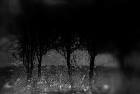 2011-11-15-226-2-2