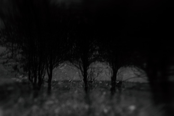 2011-11-15-226-4