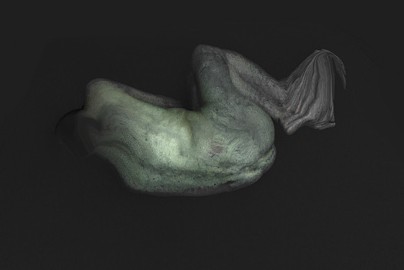 280314 #284-5