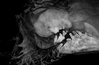 220116-3-5