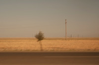 silk road-2427