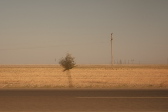 silk road-2427