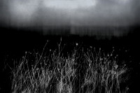 40D-14JAN08-507