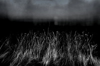 40D-14JAN08-511