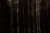 2013-09-26-442