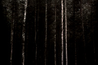 2013-09-26-447