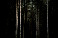 2013-09-26-525