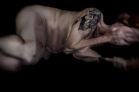 2013-06-24-234-3-4