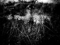 271017-10