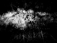 271017-19