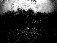 271017-8