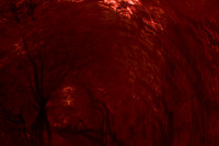 2013-09-18-345